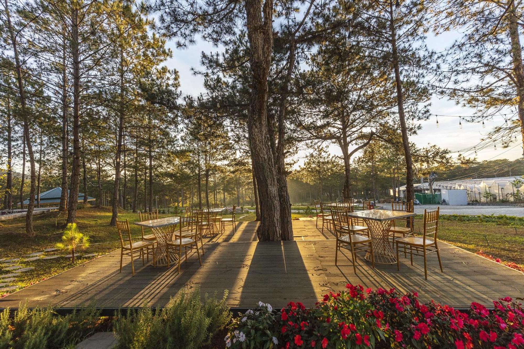 Kim Resort - Khu Nghi Duong Rung La Kim Dalat Exteriör bild